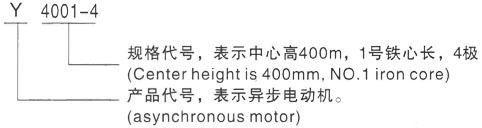 西安泰富西玛Y系列(H355-1000)高压YJTGKK4002-8三相异步电机型号说明